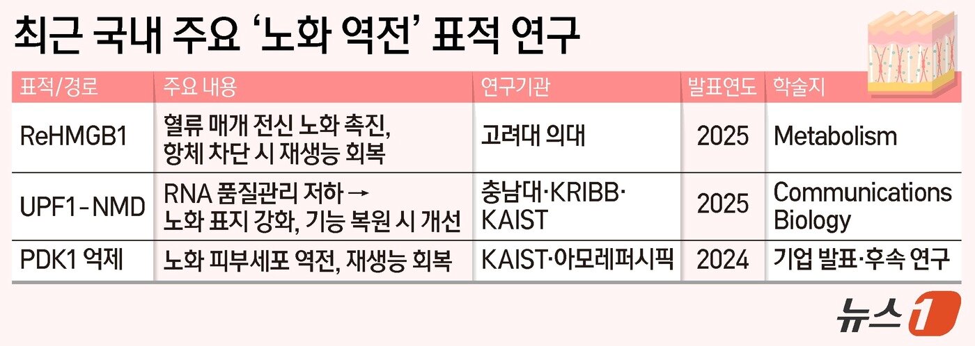 본문 이미지 - ⓒ News1 