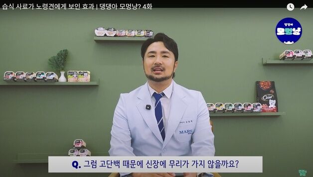 "고단백 사료, 노령견에 해롭다?"…한국마즈, 영양 관리 팁 공개
