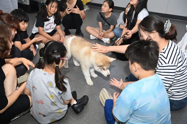 부산 연제구, '직업체험' 등 지역사회보장협의체 특화사업 실시