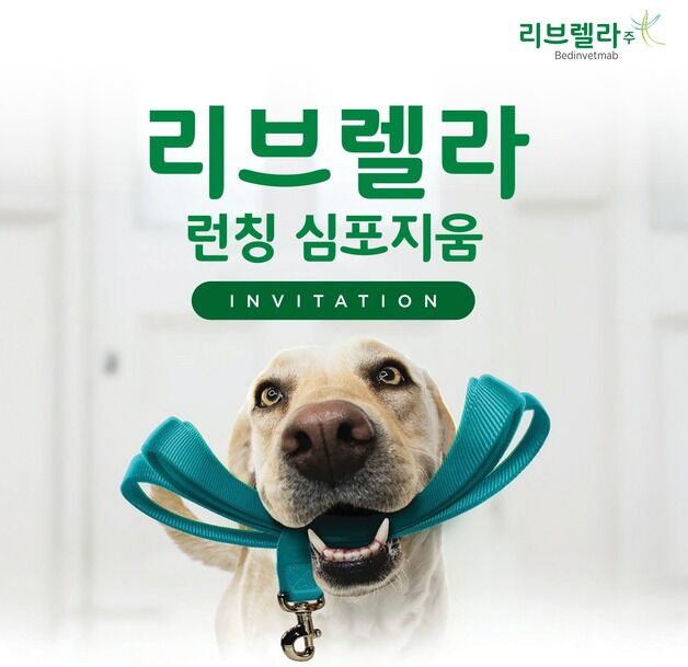 개 골관절염 통증 완화 '리브렐라' 국내 출시…9월 심포지엄 개최