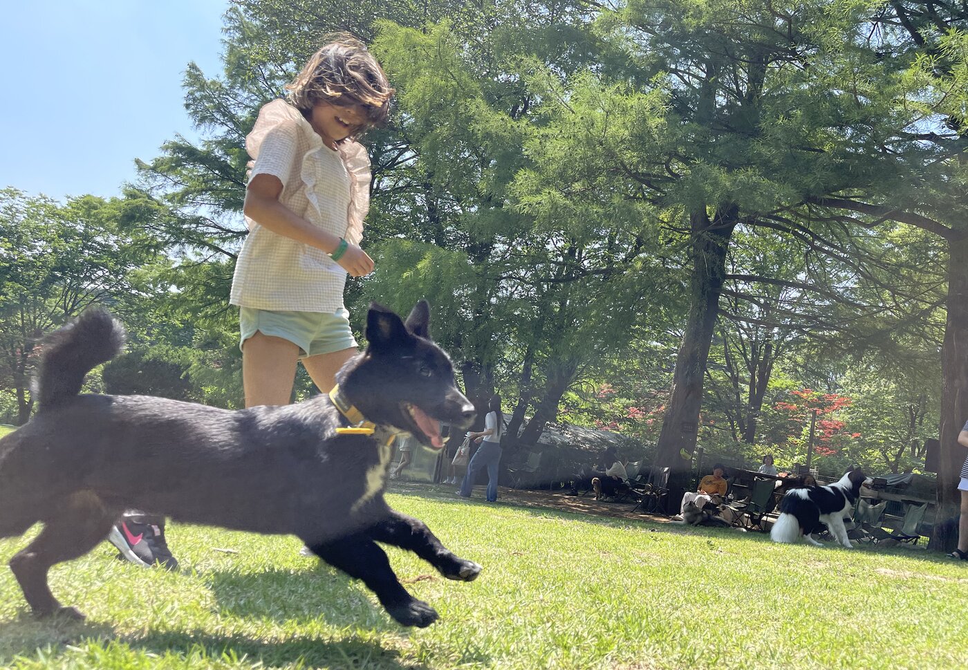 본문 이미지 - 반려견 운동장에서 뛰어노는 A 씨의 딸과 루시(인스타그램 chewwwy.lucy 제공). ⓒ 뉴스1