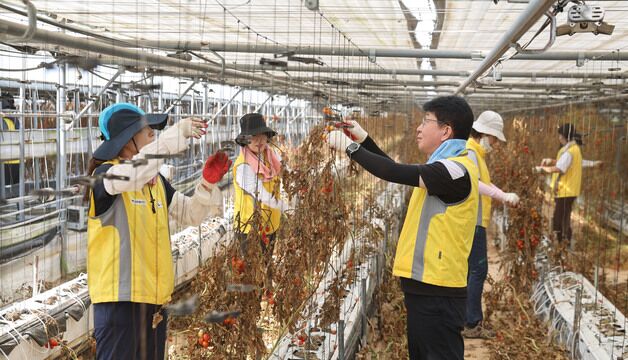 광주국세청·광산세무서, 수해 농가 피해복구 지원