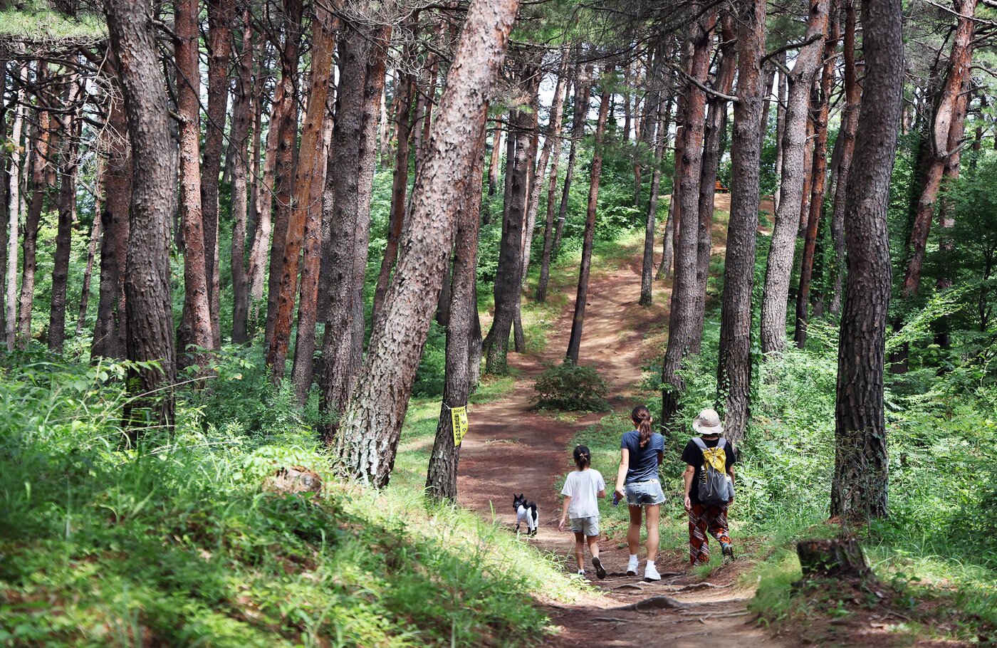 본문 이미지 - 루시와 함께한 트레킹(인스타그램 chewwwy.lucy 제공) ⓒ 뉴스1