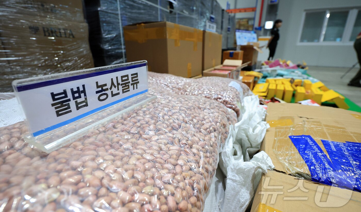 본문 이미지 - 14일 오전 인천 연수구 인천세관 통합검사센터 압수창고에서 5대 민생범죄 단속 물품들이 놓여져 있다. 2025.8.14/뉴스1 ⓒ News1 김진환 기자
