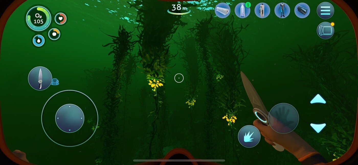 본문 이미지 - 거대한 미역 덩굴 지대