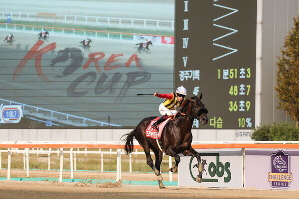 본문 이미지 - 2024년 코리아컵 우승을 차지한 일본의 크라운프라이드와 요코야마 기수가 세리모니를 펼치고 있다&#40;한국마사회 제공&#41;