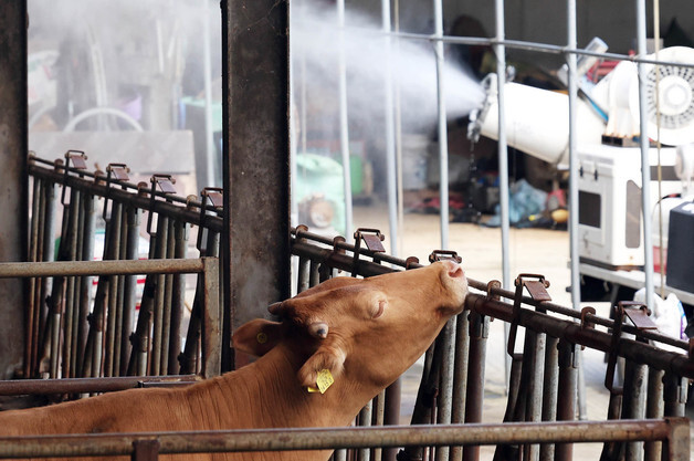 "가축분뇨 질식사고 줄인다"…외국인 노동자 다국어 안전교육 실시
