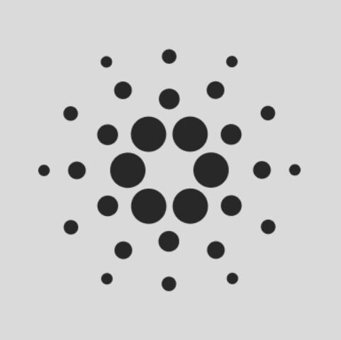 현물 ETF 신청 기대…에이다, 하루 새 14% 급등[특징코인]