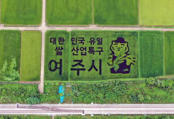 대왕님표 여주쌀, 뉴욕페스티벌 국가브랜드 대상…글로벌 경쟁력 입증