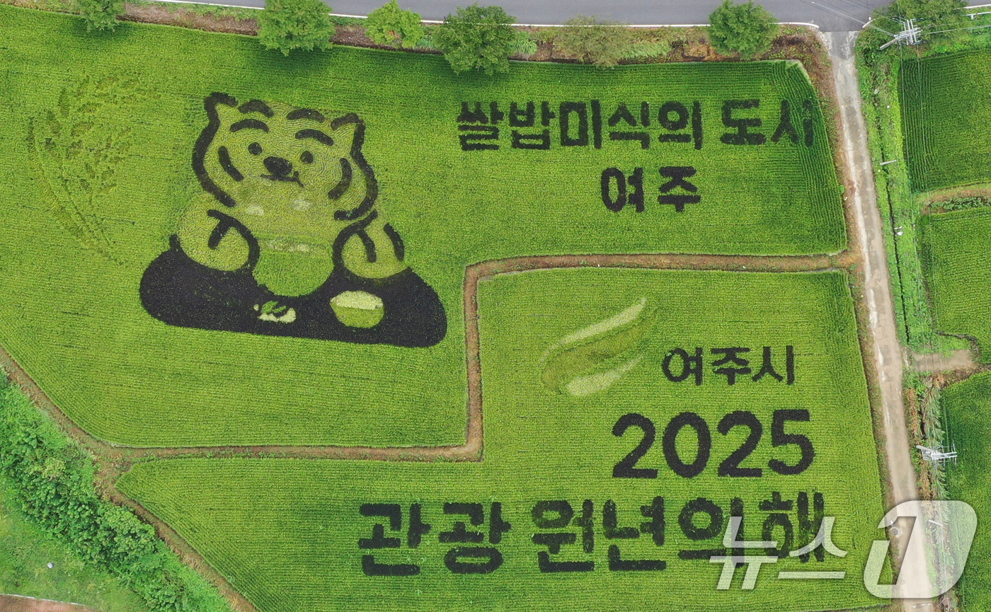 (여주=뉴스1) 김영운 기자 = '쌀의 날'을 나흘 앞둔 14일 경기 여주시의 한 논에 유색벼를 활용한 논아트 그림이 그려져 있다.'쌀의 날'은 우리 쌀의 우수성을 알리고 소비를 …