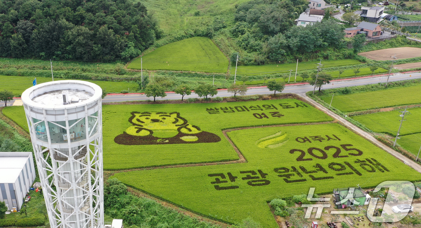 (여주=뉴스1) 김영운 기자 = '쌀의 날'을 나흘 앞둔 14일 경기 여주시의 한 논에 유색벼를 활용한 논아트 그림이 그려져 있다.'쌀의 날'은 우리 쌀의 우수성을 알리고 소비를 …