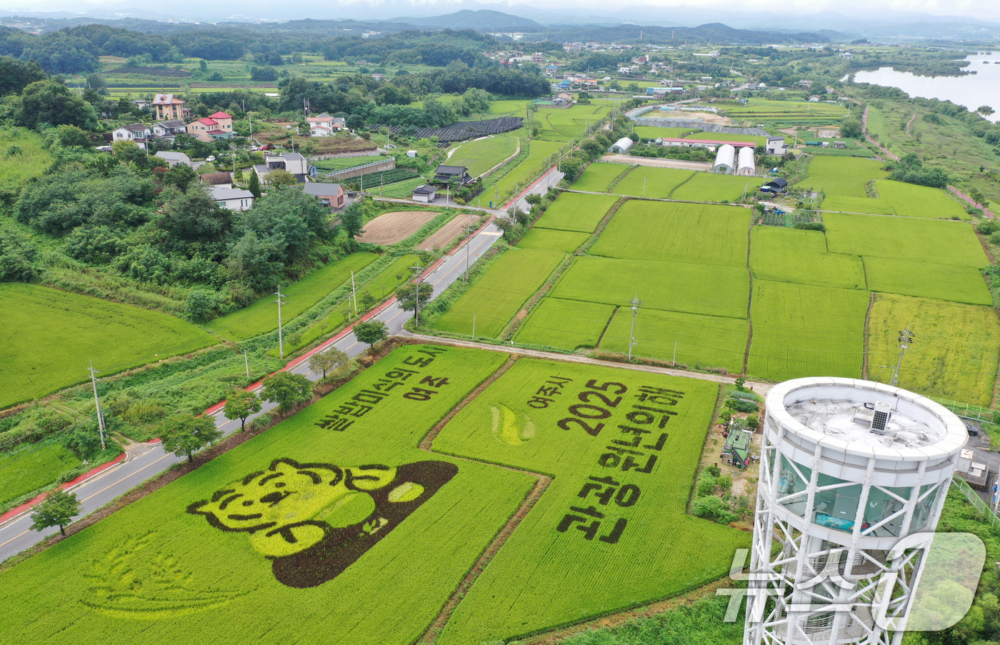 (여주=뉴스1) 김영운 기자 = '쌀의 날'을 나흘 앞둔 14일 경기 여주시의 한 논에 유색벼를 활용한 논아트 그림이 그려져 있다.'쌀의 날'은 우리 쌀의 우수성을 알리고 소비를 …