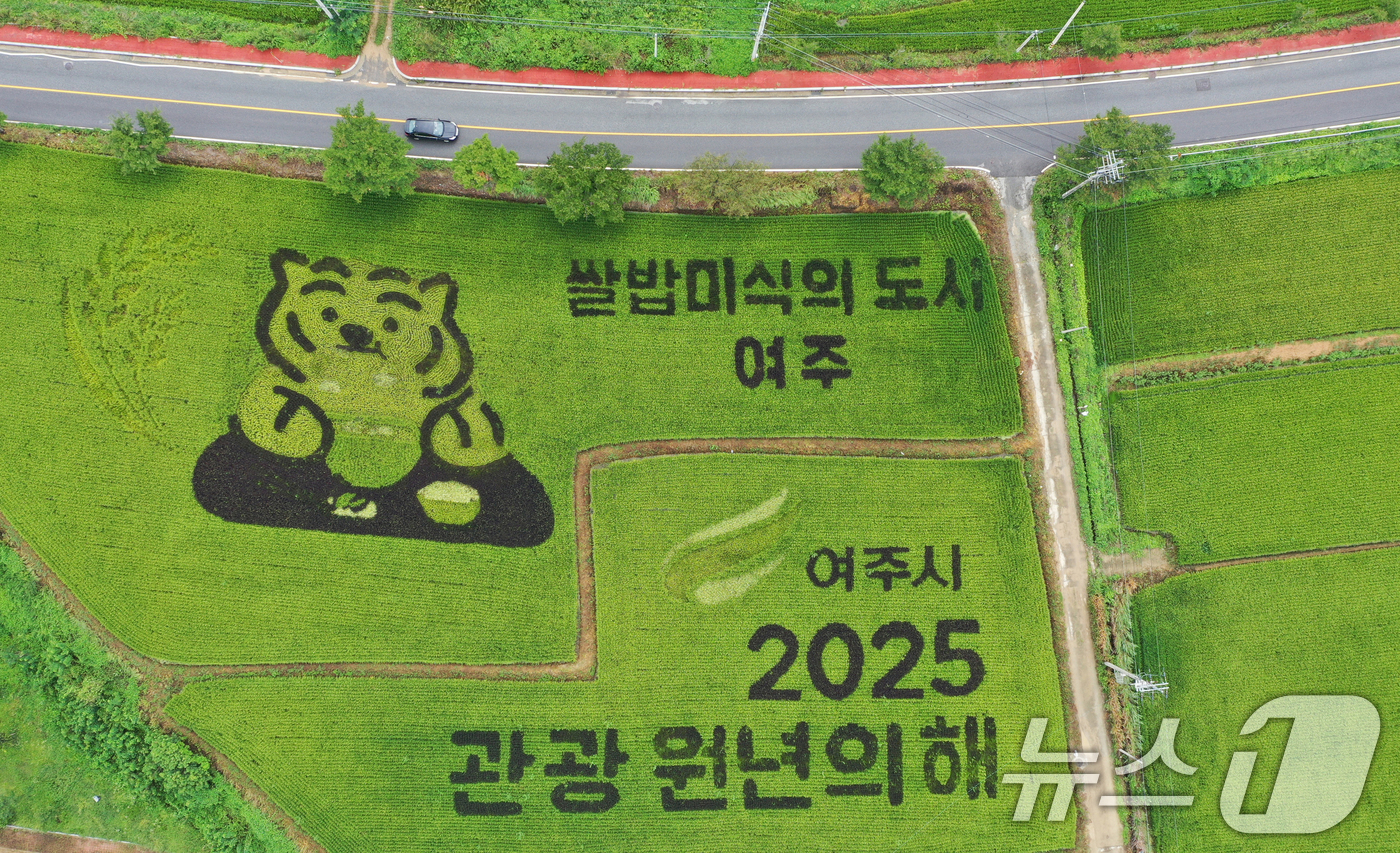 (여주=뉴스1) 김영운 기자 = '쌀의 날'을 나흘 앞둔 14일 경기 여주시의 한 논에 유색벼를 활용한 논아트 그림이 그려져 있다.'쌀의 날'은 우리 쌀의 우수성을 알리고 소비를 …
