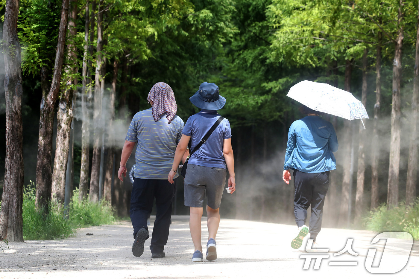 (대구=뉴스1) 공정식 기자 = 삼복더위를 지나 다시 폭염이 찾아온 15일 대구 남구 고산골 등산로에 쿨링포그가 가동돼 무더위에 지친 시민들의 더위를 식혀주고 있다. 2025.8. …