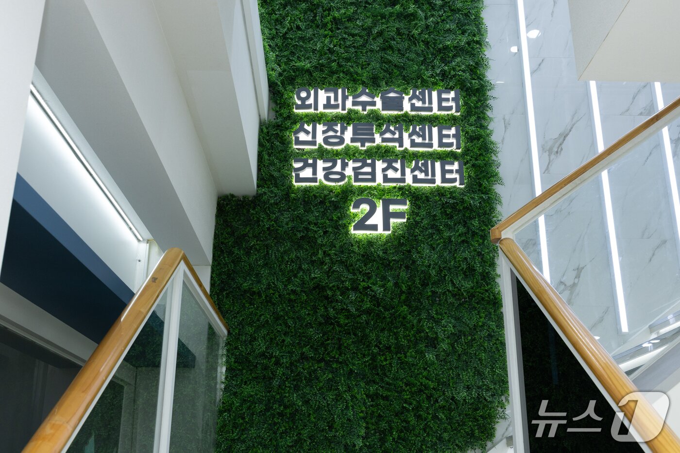 본문 이미지 - 수동물메디컬센터 내부(동물병원 제공) ⓒ 뉴스1