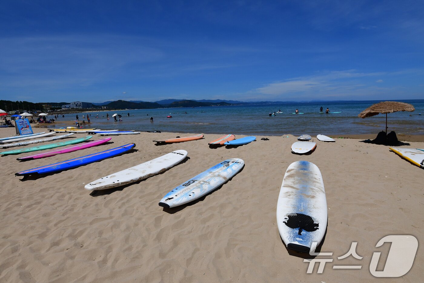 본문 이미지 - 17일 오후 경북 포항시 전역에 폭염경보가 발령 중인 가운데 북구 흥해읍 용한리 해수욕장에서 더위를 식히고 있다. 2025.8.17/뉴스1 ⓒ News1 최창호 기자