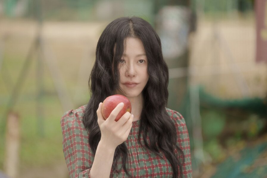 본문 이미지 - SBS