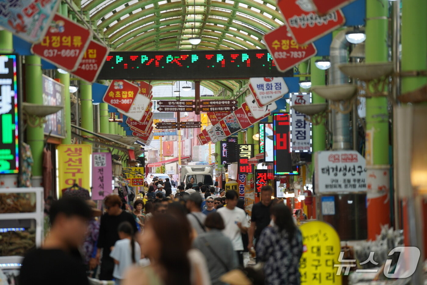 본문 이미지 - 속초관광수산시장 전경.&#40;속초시 제공, 재판매 및 DB 금지&#41; 2025.8.18/뉴스1