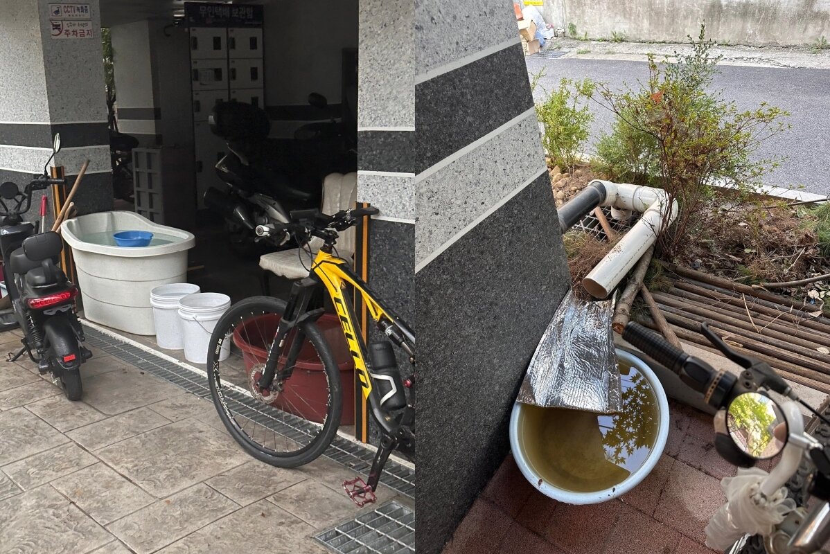 본문 이미지 - &#40;&#39;보배드림&#39;&#41;