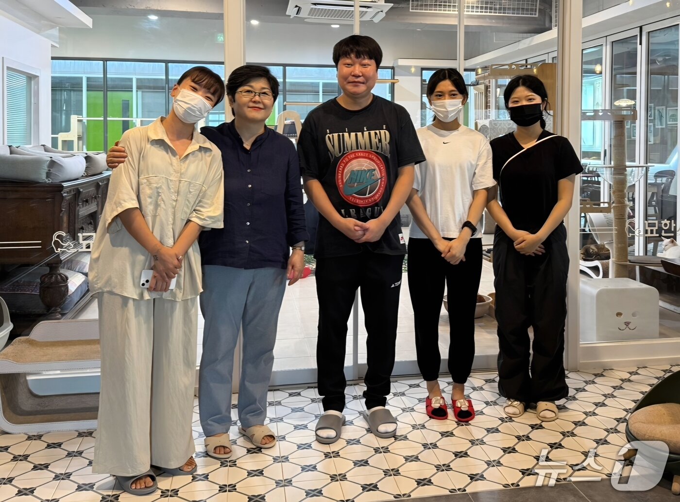 본문 이미지 - 아이디동물의료센터는 최근 유기묘를 돌보는 고양이카페를 후원했다. ⓒ 뉴스1