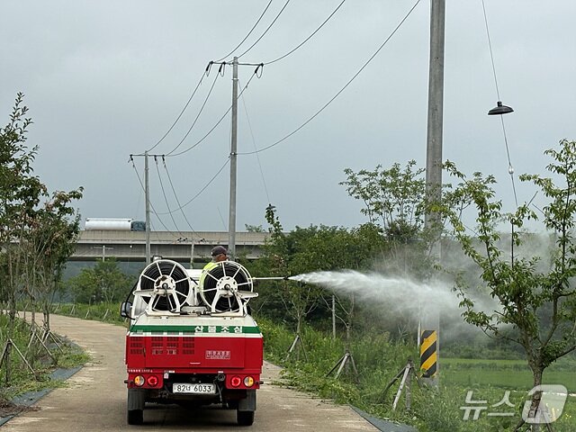 본문 이미지 - 의성군이 미국흰불나방 집중 방제에 나섰다.(의성군 제공.재판매 및 DB 금지)2025.8.18/뉴스1