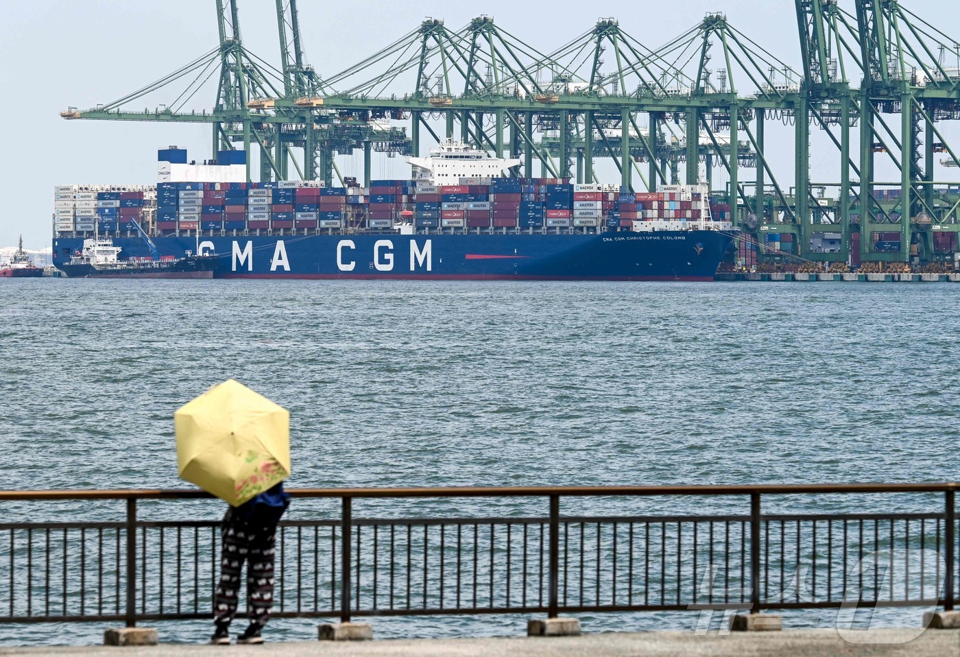 (싱가포르 AFP=뉴스1) 권영미 기자 = 9일 싱가포르 파시르 판장 항만 터미널에 정박한 컨테이너선 앞에서 한 보행자가 우산을 들고 서 있다. 싱가포르 정부는 2025년 8월 1 …