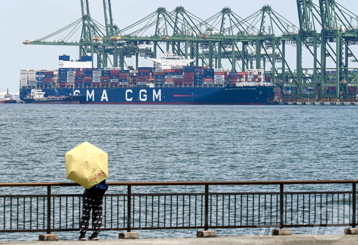 본문 이미지 - 싱가포르 파시르 판장 항만 터미널에 정박한 컨테이너선 앞에서 한 보행자가 우산을 들고 서 있다. 2025.07.09. ⓒ AFP=뉴스1 ⓒ News1 권영미 기자