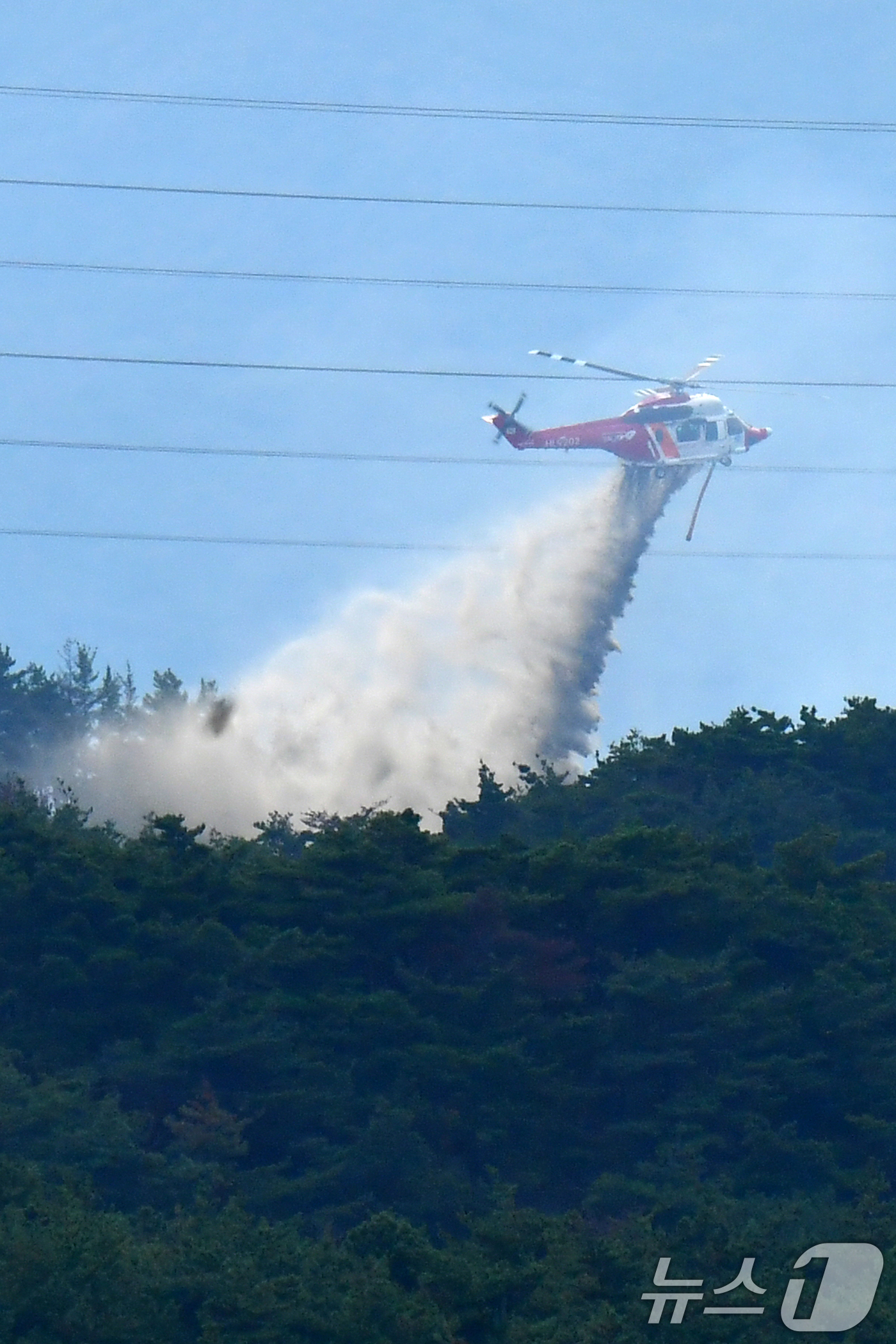 (포항=뉴스1) 최창호 기자 = 18일 오후 4시25분쯤 경북 포항시 북구 흥해읍 성곡리 산에서 원인을 알 수 없는 불이 나 산림청과 경북도소방본부가 헬기 3대를 투입해 진화작업을 …