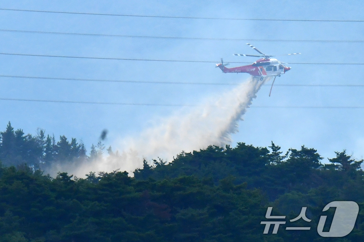 (포항=뉴스1) 최창호 기자 = 18일 오후 4시25분쯤 경북 포항시 북구 흥해읍 성곡리 산에서 원인을 알 수 없는 불이 나 산림청과 경북도소방본부가 헬기 3대를 투입해 진화작업을 …