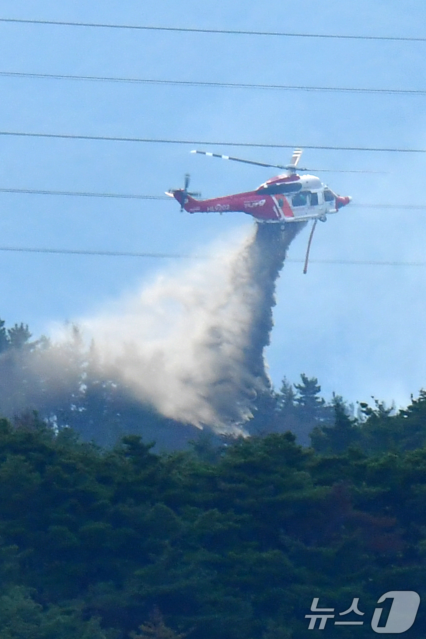 (포항=뉴스1) 최창호 기자 = 18일 오후 4시25분쯤 경북 포항시 북구 흥해읍 성곡리 산에서 원인을 알 수 없는 불이 나 산림청과 경북도소방본부가 헬기 3대를 투입해 진화작업을 …