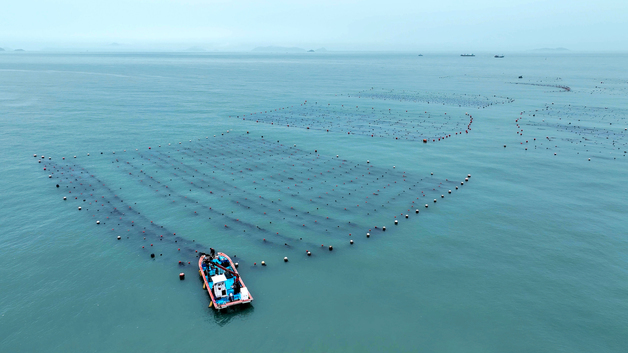 "AI 기술로 전복 키운다"…완도군, '기후위기 대응' 양식 시스템 구축