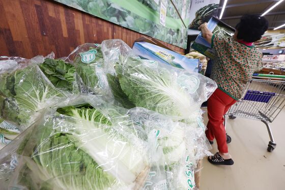 시金치 172%· 金배추 52%↑…장보기 무서운 '밥상 물가'