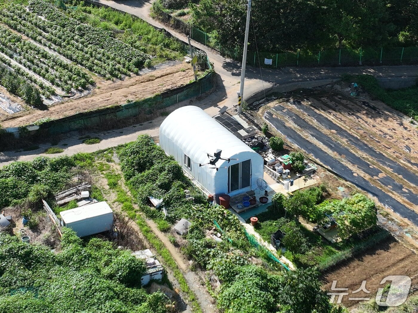 본문 이미지 - 울산 동구 주전·성끝마을 일대 경작지에서 드론을 활용해 '폭염송', '물놀이 안전송' 등을 틀고 있다.(울산 동구 제공. 재판매 및 DB금지)/뉴스1