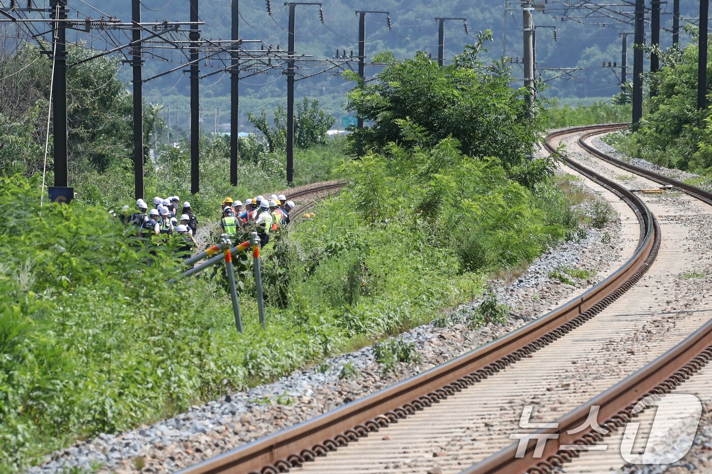 본문 이미지 - 19일 오전 10시 52분쯤 경북 청도군 화양읍 삼신리 청도소싸움 경기장 인근 경부선 철로에서 마산으로 향하던 무궁화 열차가 선로에서 작업하던 근로자 7명을 치는 사고가 발생했다. 경찰과 소방, 코레일 등 관계자들이 사고 현장을 조사하고 있다. 2025.8.19/뉴스1 ⓒ News1 공정식 기자