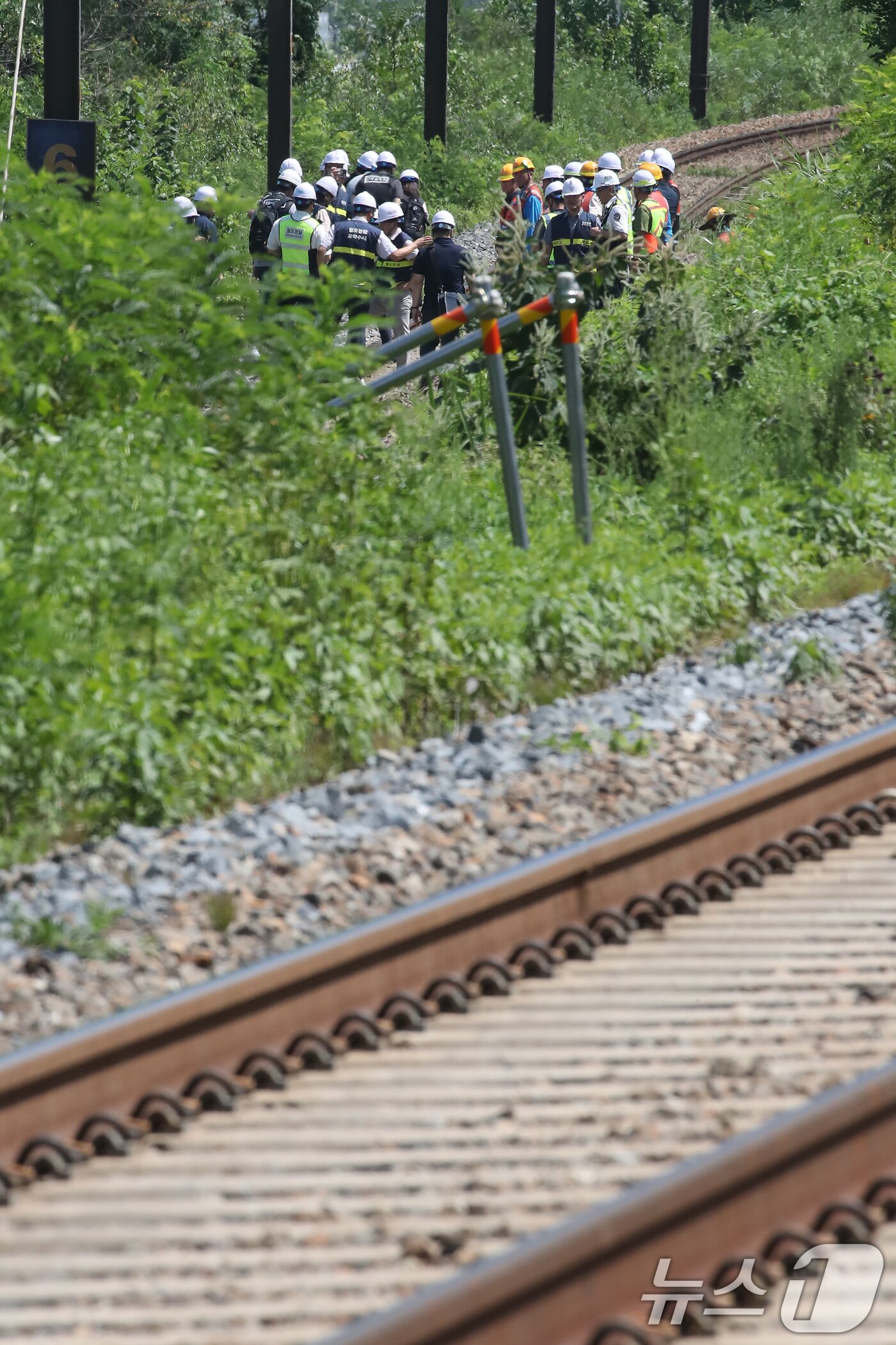 본문 이미지 - 19일 오전 10시 52분쯤 경북 청도군 화양읍 삼신리 청도소싸움 경기장 인근 경부선 철로에서 마산으로 향하던 무궁화 열차가 선로에서 작업하던 근로자 7명을 치는 사고가 발생했다. 경찰과 소방, 코레일 등 관계자들이 사고 현장을 조사하고 있다. 2025.8.19/뉴스1 ⓒ News1 공정식 기자