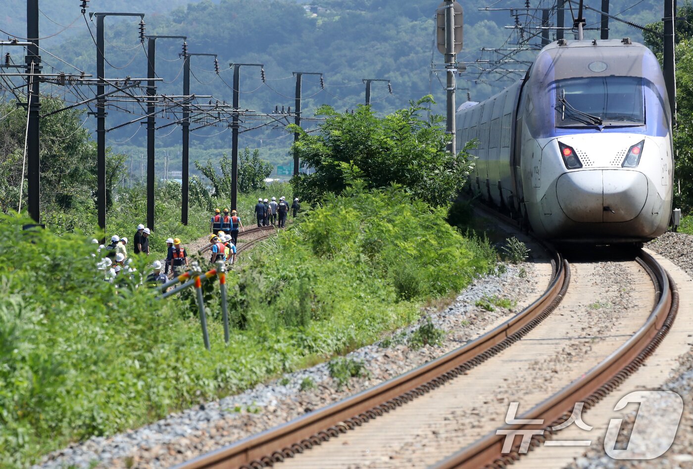본문 이미지 - 19일 오전 10시 52분쯤 경북 청도군 화양읍 삼신리 청도소싸움 경기장 인근 경부선 철로에서 마산으로 향하던 무궁화 열차가 선로에서 작업하던 근로자 7명을 치는 사고가 발생했다. 경찰과 소방, 코레일 등 관계자들이 사고 현장을 조사하는 가운데 우측으로 열차가 서행하고 있다. 2025.8.19/뉴스1 ⓒ News1 공정식 기자