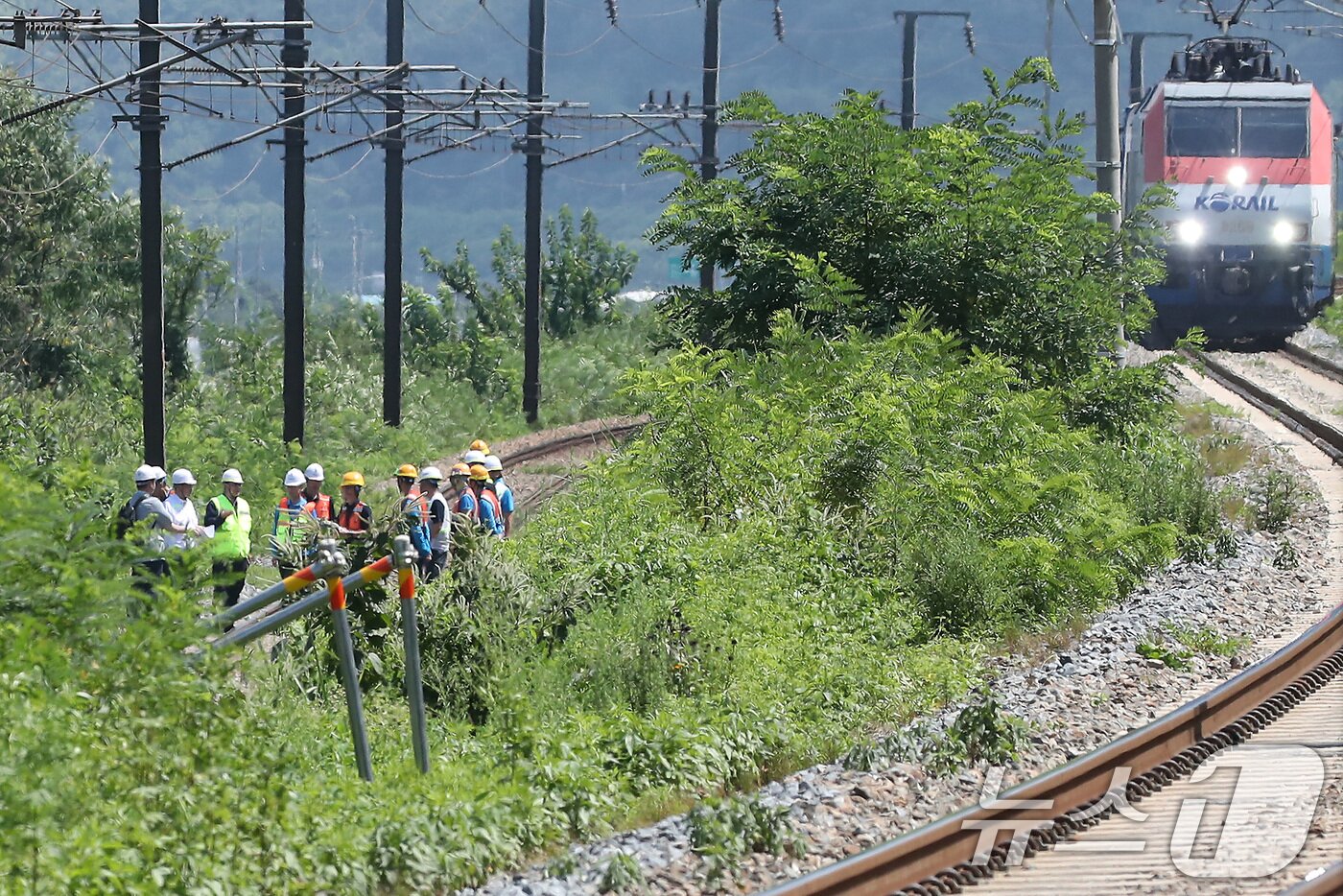 본문 이미지 - 19일 오후 경찰과 소방, 코레일 등 관계자들이 청도군 무궁화호 열차 사고 현장을 조사하고 있다. 2025.8.19/뉴스1 ⓒ News1 공정식 기자