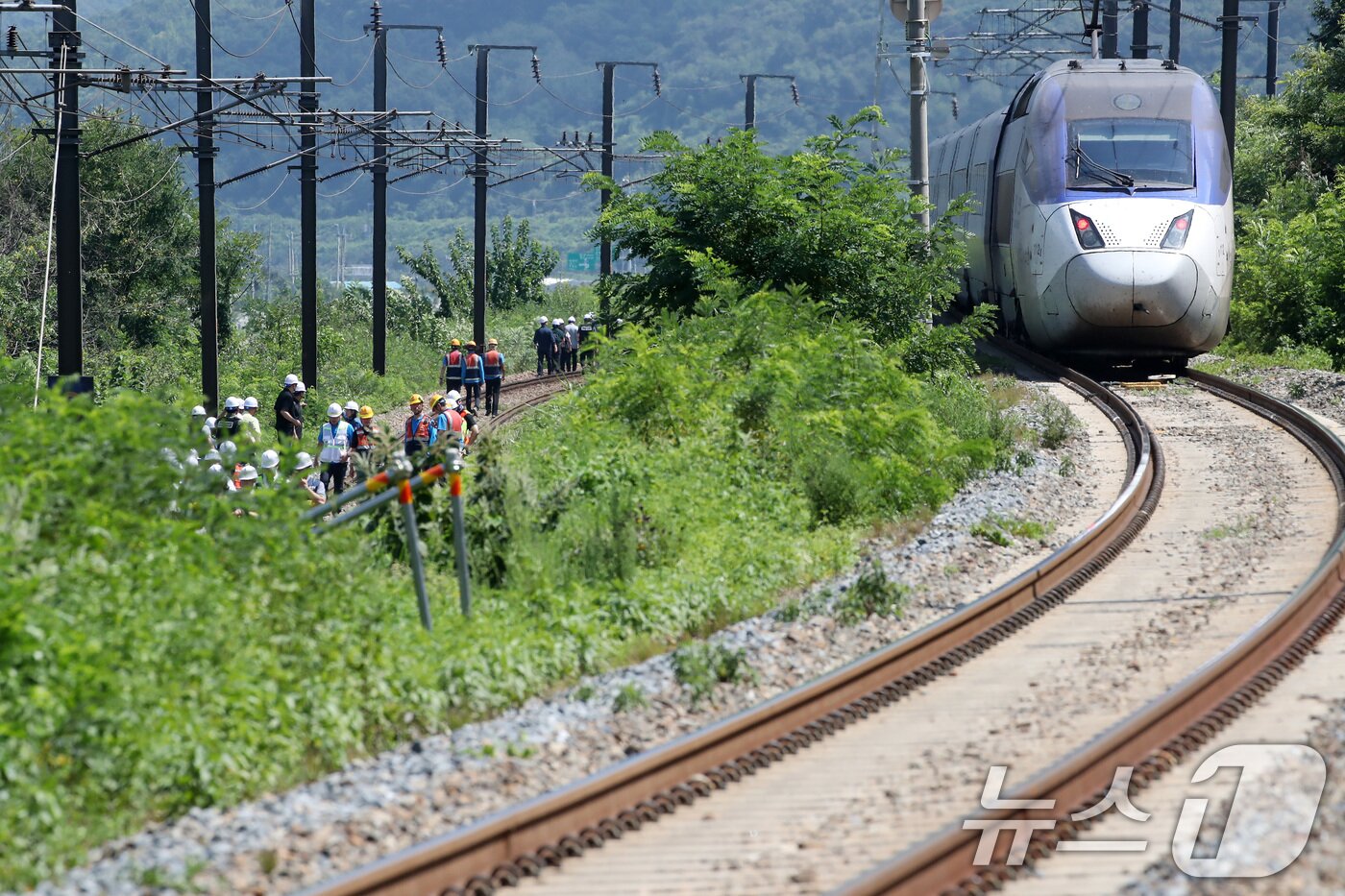 본문 이미지 - 19일 오전 10시 52분쯤 경북 청도군 화양읍 삼신리 청도소싸움 경기장 인근 경부선 철로에서 마산으로 향하던 무궁화 열차가 선로에서 작업하던 근로자 7명을 치는 사고가 발생했다. 경찰과 소방, 코레일 등 관계자들이 사고 현장을 조사하는 가운데 우측으로 열차가 서행하고 있다. 2025.8.19/뉴스1 ⓒ News1 공정식 기자