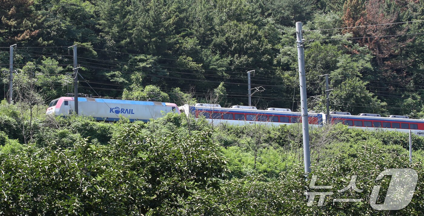 본문 이미지 - 19일 오전 10시 52분쯤 경북 청도군 화양읍 삼신리 청도소싸움 경기장 인근 경부선 철로에서 마산으로 향하던 무궁화 열차가 선로에서 작업하던 근로자 7명을 치는 사고가 발생했다. 무궁화 열차가 사고로 정차해 있다. 2025.8.19/뉴스1 ⓒ News1 공정식 기자