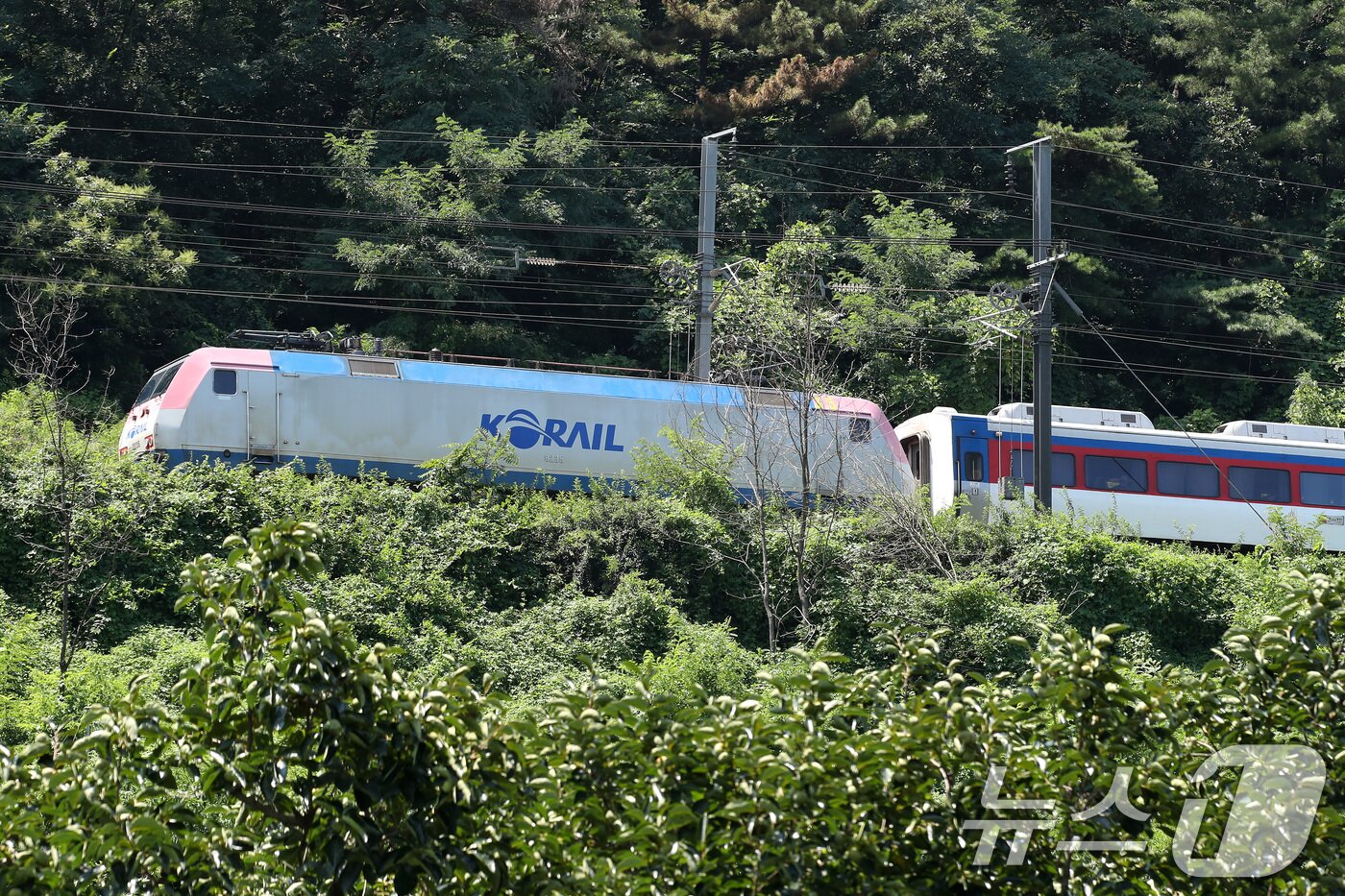 본문 이미지 - 19일 오전 10시 52분쯤 경북 청도군 화양읍 삼신리 청도소싸움 경기장 인근 경부선 철로에서 마산으로 향하던 무궁화 열차가 선로에서 작업하던 근로자 7명을 치는 사고가 발생했다. 무궁화 열차가 사고로 정차해 있다. 2025.8.19/뉴스1 ⓒ News1 공정식 기자