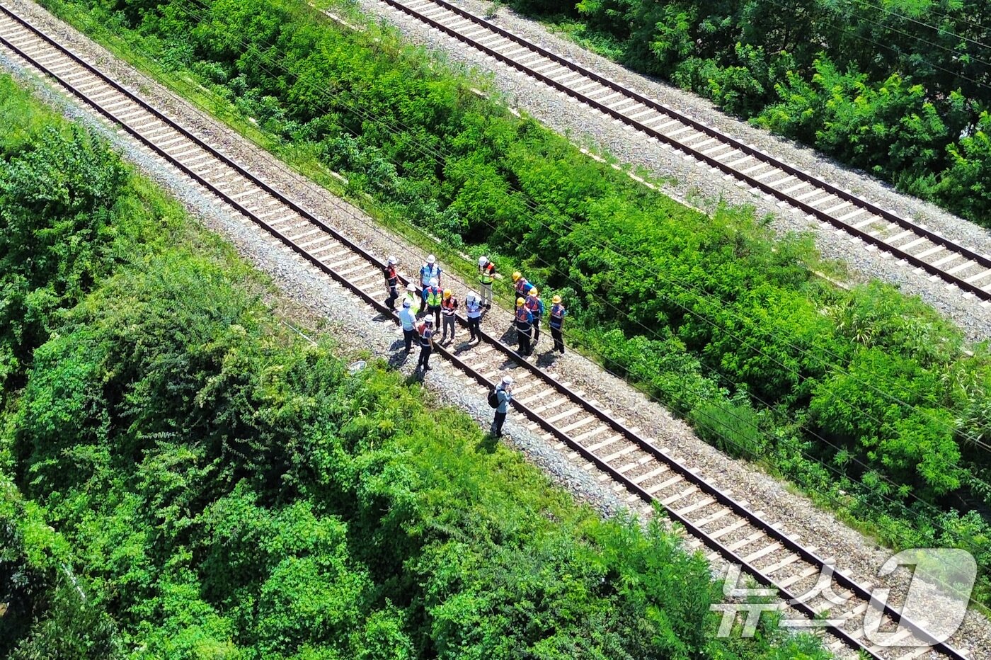 본문 이미지 - 19일 오전 10시 52분쯤 경북 청도군 화양읍 삼신리 청도소싸움 경기장 인근 경부선 철로에서 마산으로 향하던 무궁화 열차가 선로에서 작업하던 근로자 7명을 치는 사고가 발생했다. 경찰과 소방, 코레일 등 관계자들이 사고 현장을 조사하고 있다. 2025.8.19/뉴스1 ⓒ News1 공정식 기자