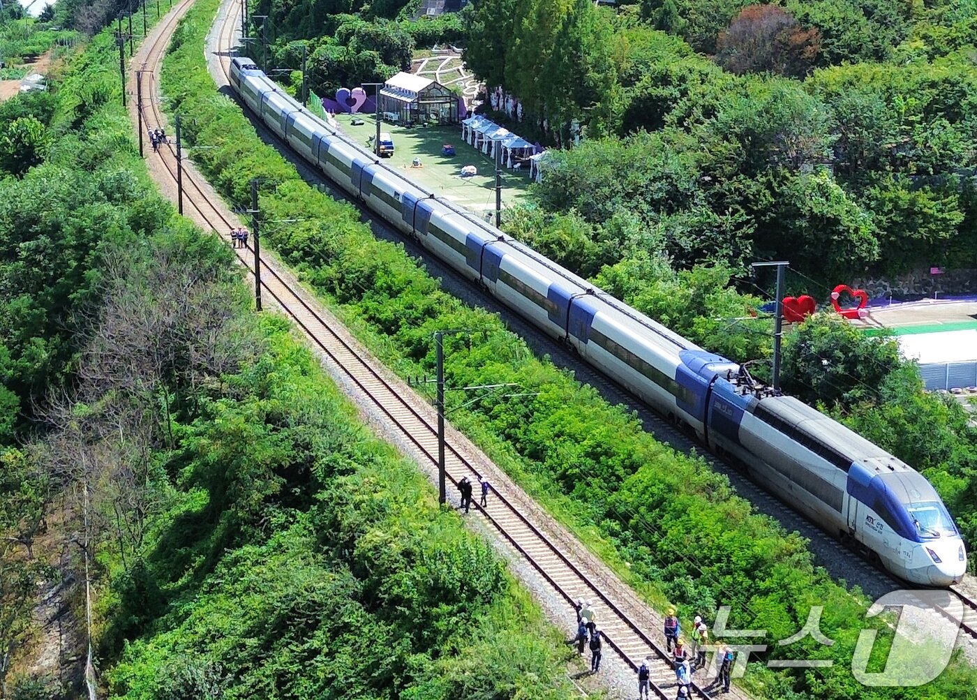 본문 이미지 - 19일 오전 10시 52분쯤 경북 청도군 화양읍 삼신리 청도소싸움 경기장 인근 경부선 철로에서 마산으로 향하던 무궁화 열차가 선로에서 작업하던 근로자 7명을 치는 사고가 발생했다. 경찰과 소방, 코레일 등 관계자들이 사고 현장을 조사하는 가운데 우측으로 열차가 서행하고 있다. 2025.8.19/뉴스1 ⓒ News1 공정식 기자