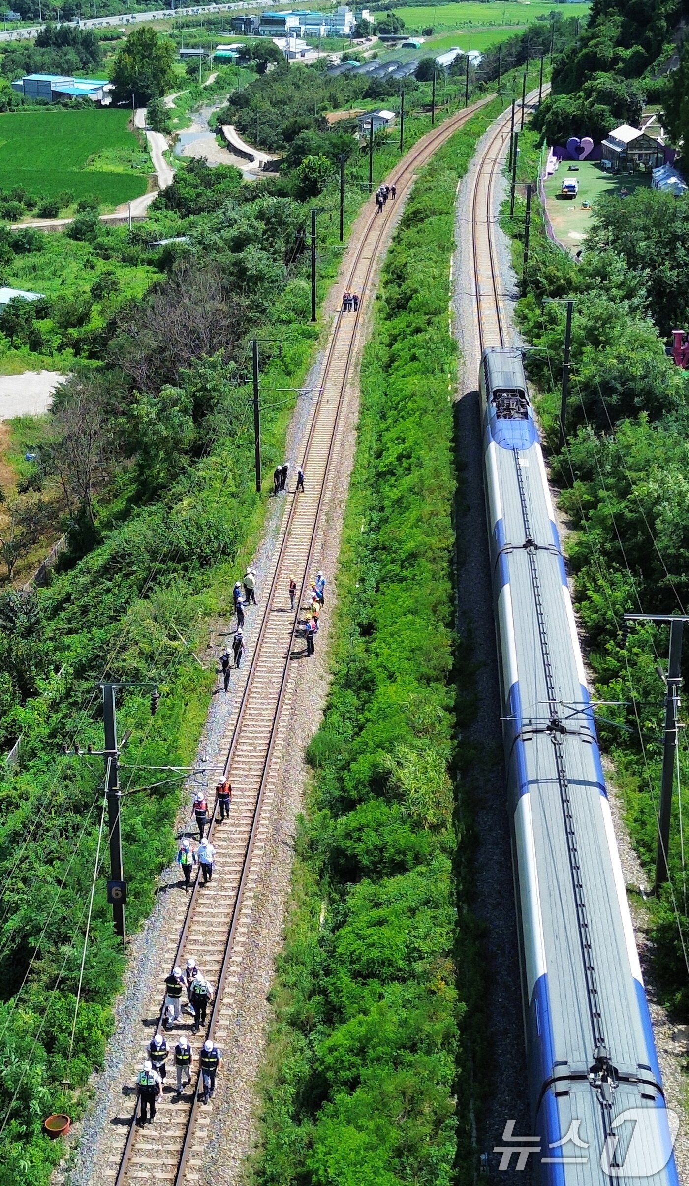 본문 이미지 - 19일 오전 10시 52분쯤 경북 청도군 화양읍 삼신리 청도소싸움 경기장 인근 경부선 철로에서 마산으로 향하던 무궁화 열차가 선로에서 작업하던 근로자 7명을 치는 사고가 발생했다. 경찰과 소방, 코레일 등 관계자들이 사고 현장을 조사하는 가운데 우측으로 열차가 서행하고 있다. 2025.8.19/뉴스1 ⓒ News1 공정식 기자