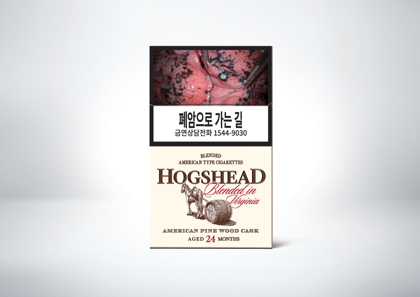 본문 이미지 - (KT&G 제공)