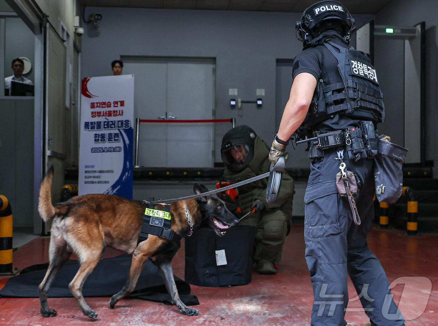 본문 이미지 - 19일 서울 종로구 정부서울청사 별관에서 을지연습 일환으로 열린 폭발물 테러 대응 합동훈련이 진행되고 있다. 2025.8.19/뉴스1 ⓒ News1 김도우 기자