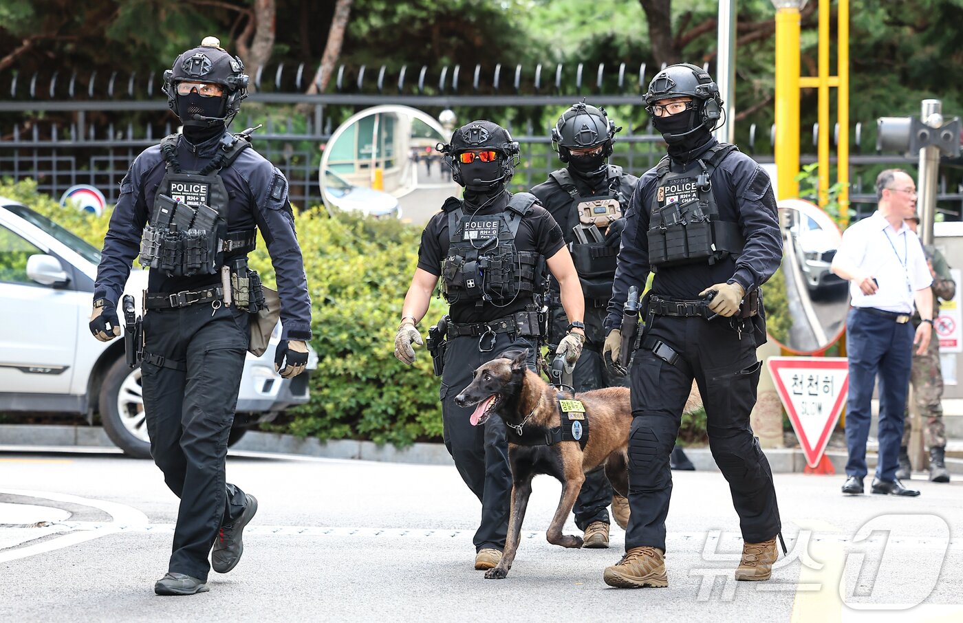 본문 이미지 - 19일 서울 종로구 정부서울청사 별관에서 을지연습 일환으로 열린 폭발물 테러 대응 합동훈련이 진행되고 있다. 2025.8.19/뉴스1 ⓒ News1 김도우 기자