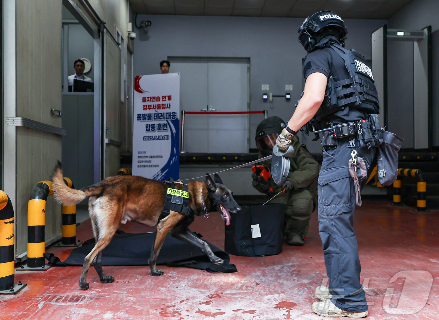 (서울=뉴스1) 김도우 기자 = 19일 서울 종로구 정부서울청사 별관에서 을지연습 일환으로 열린 폭발물 테러 대응 합동훈련이 진행되고 있다. 2025.8.19/뉴스1