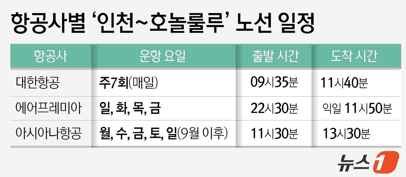본문 이미지 - ⓒ News1 윤주희 디자이너