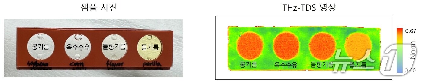 본문 이미지 - 콩기름·옥수수유·들향기름·들기름의 사진(왼쪽)과 테라헤르츠파 반사율 영상, 노란색일수록 반사율 수치가 낮고 빨간색일수록 반사율 수치가 높다는 뜻이다.(연세의료원 제공)