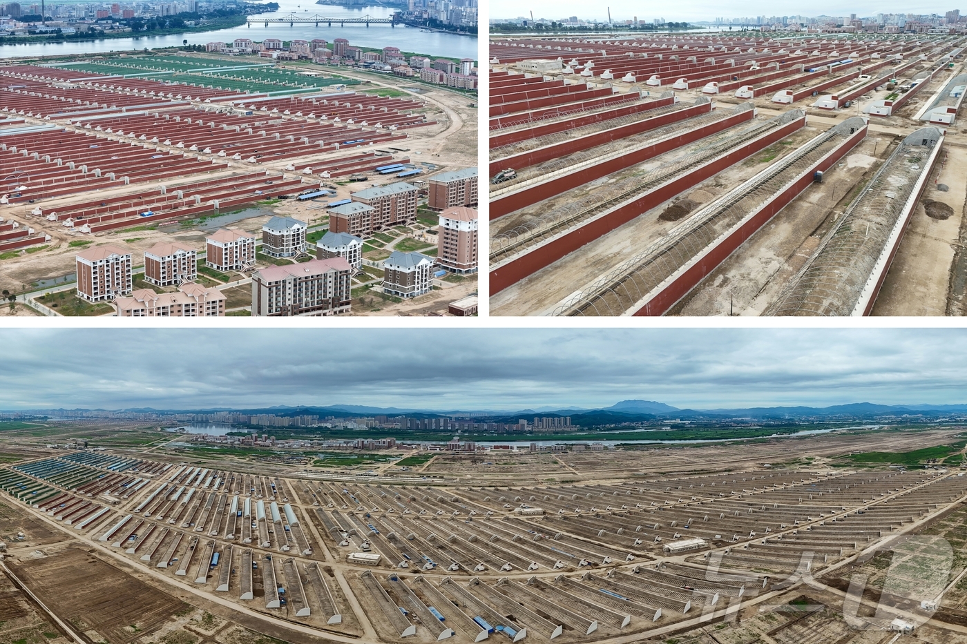 (평양 노동신문=뉴스1) = 북한 노동당 기관지 노동신문은 2일 "김정은 동지께서 지난 1일 위화도 온실종합농장 건설장과 신의주시·의주군의 섬지구 영구화제방 공사장을 현지지도했다" …